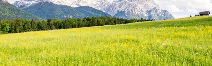 Hydrogen sulphide Analyzer